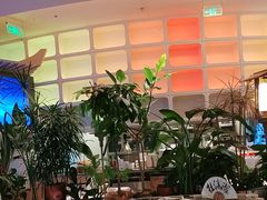-桂满陇·蟹黄小笼汤包(清河万象店)