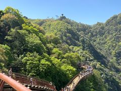 -少华山国家森林公园