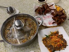 -百利鸽王(紫薇路店)