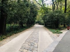 -灵谷景区
