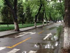 道路-山东大学(趵突泉校区)