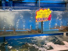 -蚝专家(北滘店)