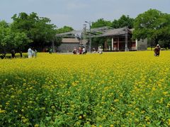 -北坞公园