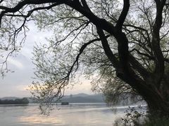 -西湖游船