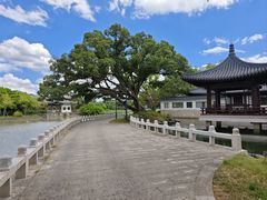 -江心屿景区