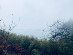 -天目湖涵田半山温泉