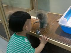 -乐宠宠物店(世纪金源店)