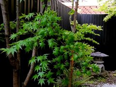 -鯛匠 HANANA