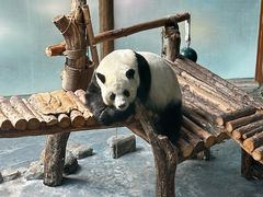 -青藏高原野生动物园