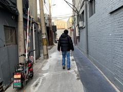 -百花深处胡同
