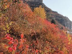 -狼牙山风景区