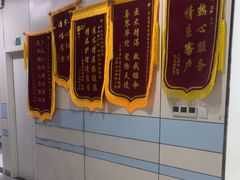 -中农国际动物医院24小时·猫科·骨科·急重症中心