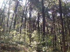 -昆明滇池国家级风景名胜区西山景区