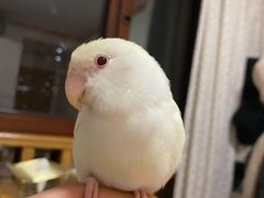 -邦泰·异宠动物医院