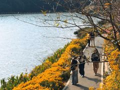 -广州市石门国家森林公园