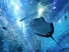 -华夏文旅海洋公园