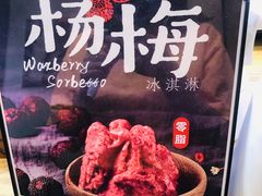 -野人先生现做冰淇淋(北京环宇荟店)