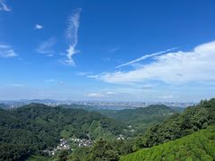 -阿巧茶庄