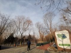 -大兴滨河森林公园