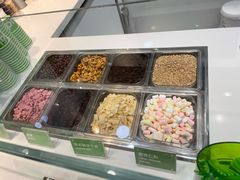 -Salud撒露欧洲冻酸奶(蓝色港湾店)
