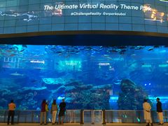 -迪拜水族馆及水下动物园