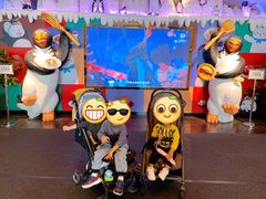 -帝企鹅自助餐厅•儿童岛•真企鹅(长隆企鹅酒店)