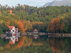 -深圳仙湖植物园