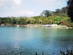 -水濂山森林公园