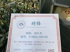 -十八棵（老龙井）御茶园(老龙井店)