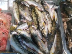 -金秋小吃海鲜·专注30年临海特色风味