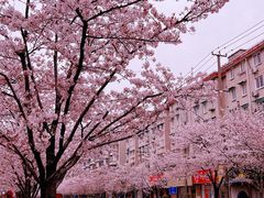 -永乐路-路侧停车场