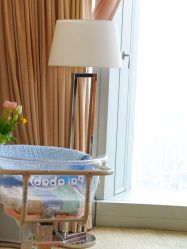 -大美母婴月子专护中心(紫峰店)