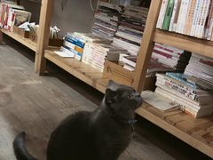 -小时光咖啡馆(开森度假森林店)