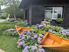 -上海鲜花港
