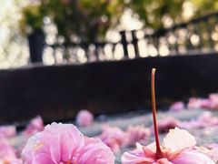 -南海子公园