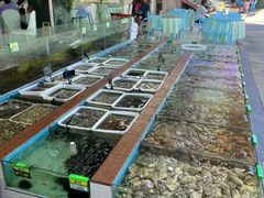 -景好海鲜餐厅(大鹏必选旅游店)