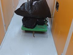 -安东易迷你自助仓储寄存仓库(草桥店)