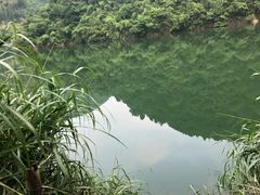 -山沟沟景区