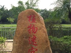 -广东茂名森林公园