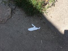 -碓臼峪自然风景区