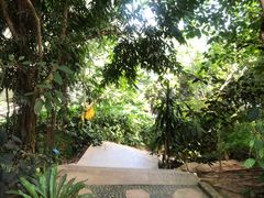 -南山植物园