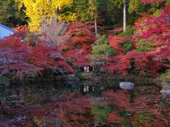 -醍醐寺