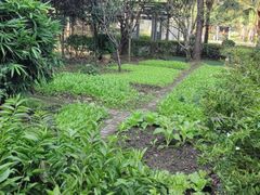 -故乡缘·香格里拉山庄(冷竹路店)