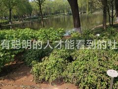 -石家庄市植物园