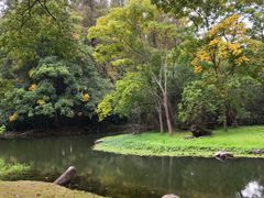 -上海共青森林公园