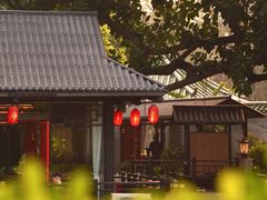 -荔湾湖公园