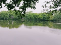 -西湖外事游船(花港观鱼码头)