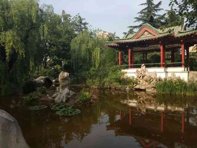 山东师范大学(千佛山校区)-"每年都在想,春天的时候去山师的校园里