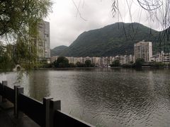 -凤池园
