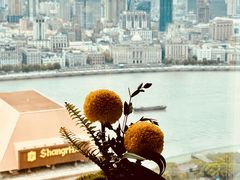 -翡翠36餐厅(浦东香格里拉店)